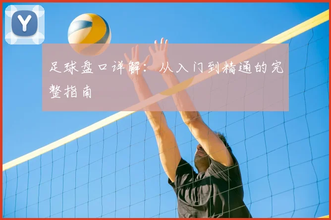 足球盘口详解:从入门到精通的完整指南