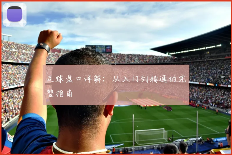足球盘口详解：从入门到精通的完整指南