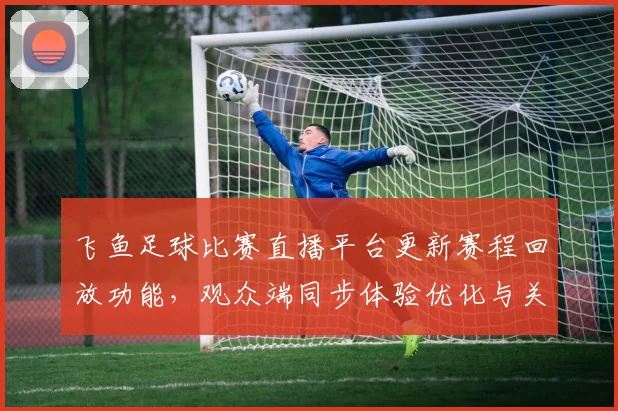 飞鱼足球比赛直播平台更新赛程回放功能,观众端同步体验优化与关键进球回看