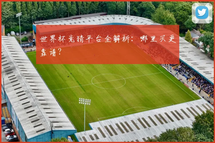 世界杯竞猜平台全解析:哪里买更靠谱?