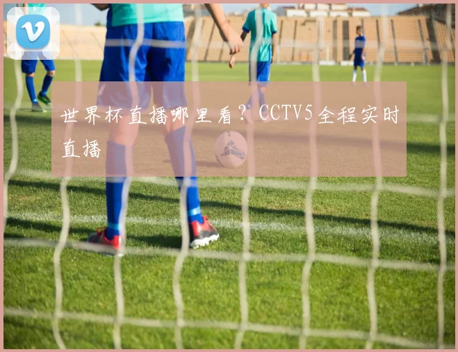 世界杯直播哪里看?CCTV5全程实时直播