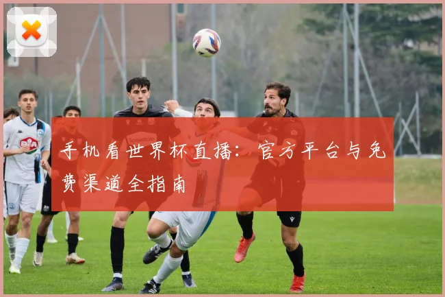 手机看世界杯直播：官方平台与免费渠道全指南