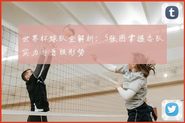 世界杯球队全解析：5张图掌握各队实力与晋级形势