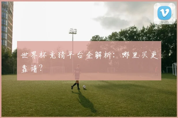 世界杯竞猜平台全解析:哪里买更靠谱?