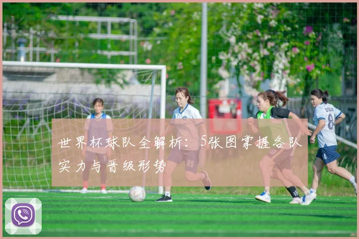 世界杯球队全解析：5张图掌握各队实力与晋级形势