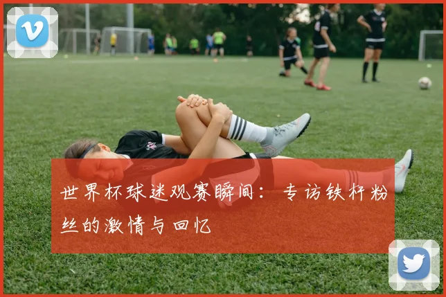 世界杯球迷观赛瞬间：专访铁杆粉丝的激情与回忆